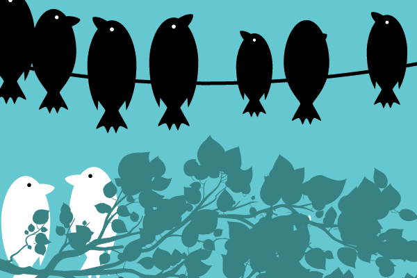 Image placeholder title