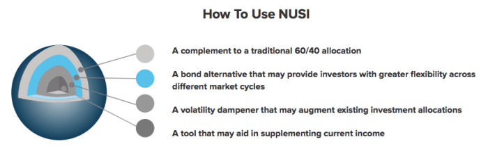 Nationwide Risk-Managed ETF (NUSI)