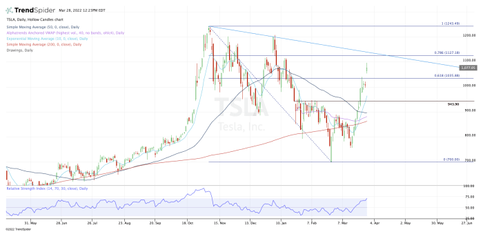 Daily chart of Tesla stock.