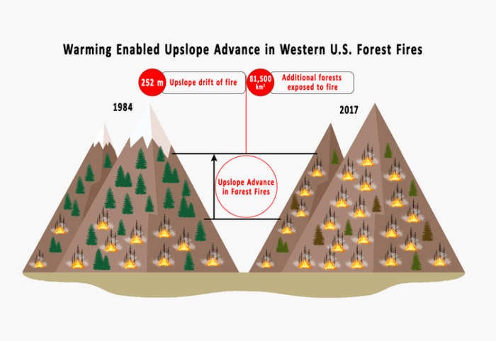 On average, fires have spread 826 feet (252 meters) higher into the mountains in recent decades, exposing an additional 31,400 square miles (81,500 square kilometers) of forests to fire. Mojtaba Sadegh, CC BY-ND