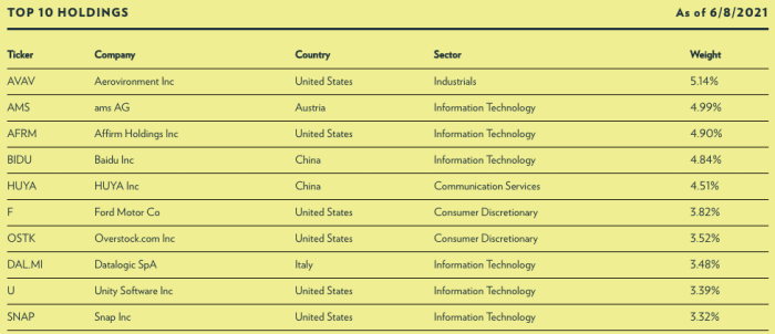 LOUP ETF Top Holdings