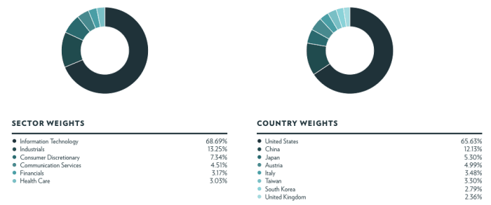 LOUP ETF Asset Allocation