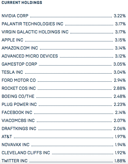 BUZZ ETF Top Holdings