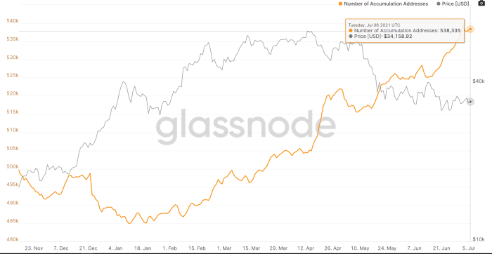 Accumulating Addresses: https://studio.glassnode.com/metrics?a=BTC&category=&m=addresses.AccumulationCount&s=1605415570&u=1625616000&zoom=