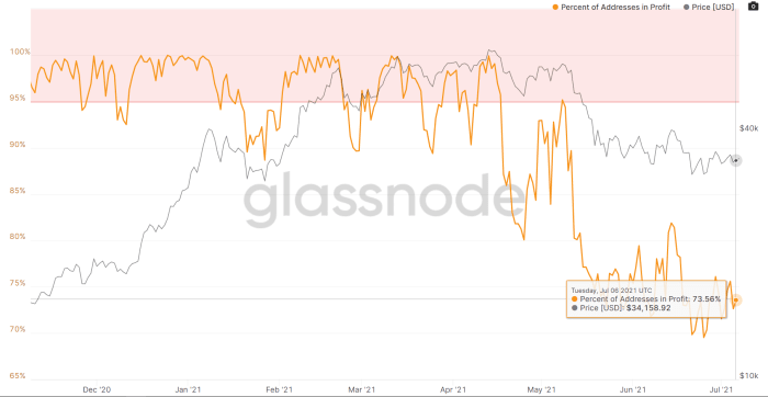 In Profit Addresses: https://studio.glassnode.com/metrics?a=BTC&category=Addresses&m=addresses.ProfitRelative&s=1604842056&u=1625616000&zoom=