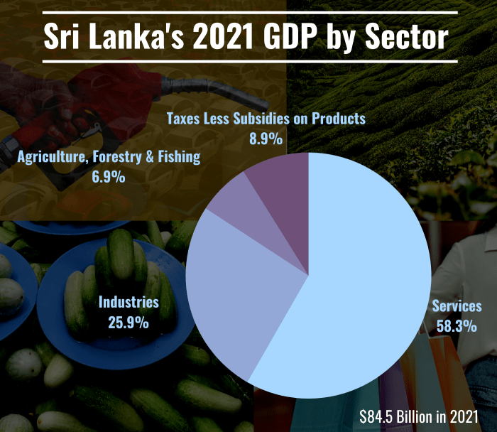 Graph of Sri Lanka's GDP via collage of photos depicting agriculture, fuel and retail.
