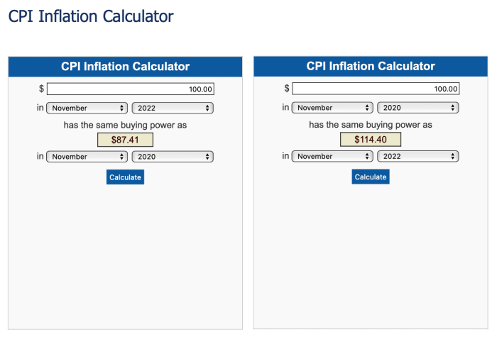 Screengrab of the U.S. Bureau of Labor Statistics' website on CPI Inflation Calculator