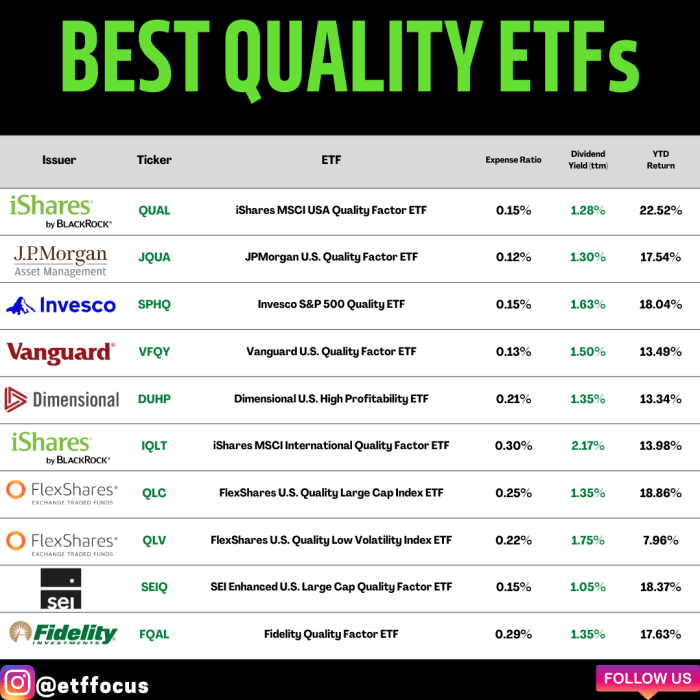 Best Etfs 2024 Astrid Eulalie