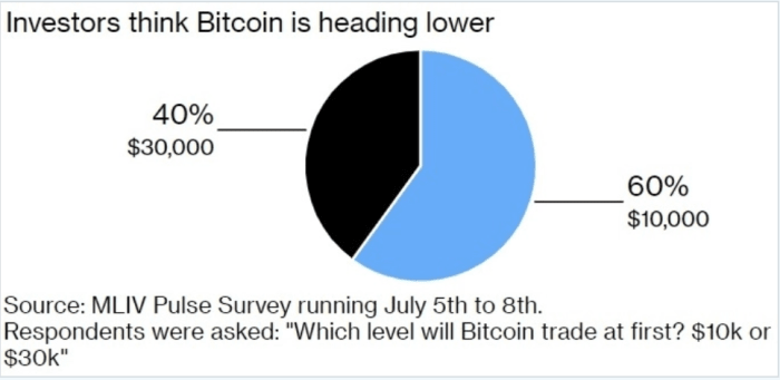 Investors believe that Bitcoin will probably reach $ 10,000 before it reaches $ 30,000 - an ominous prediction.  Survey taken from MLIV.