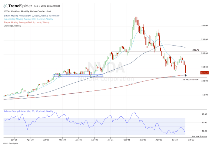 Nvidia 주식의 주간 차트.