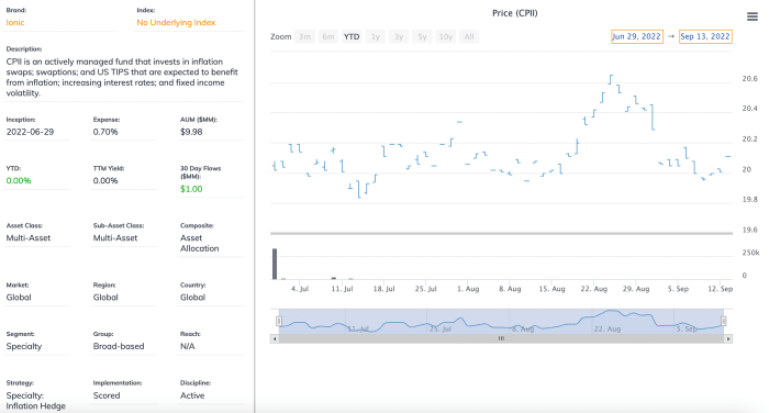 Ionic Inflation Protection ETF (CPII)