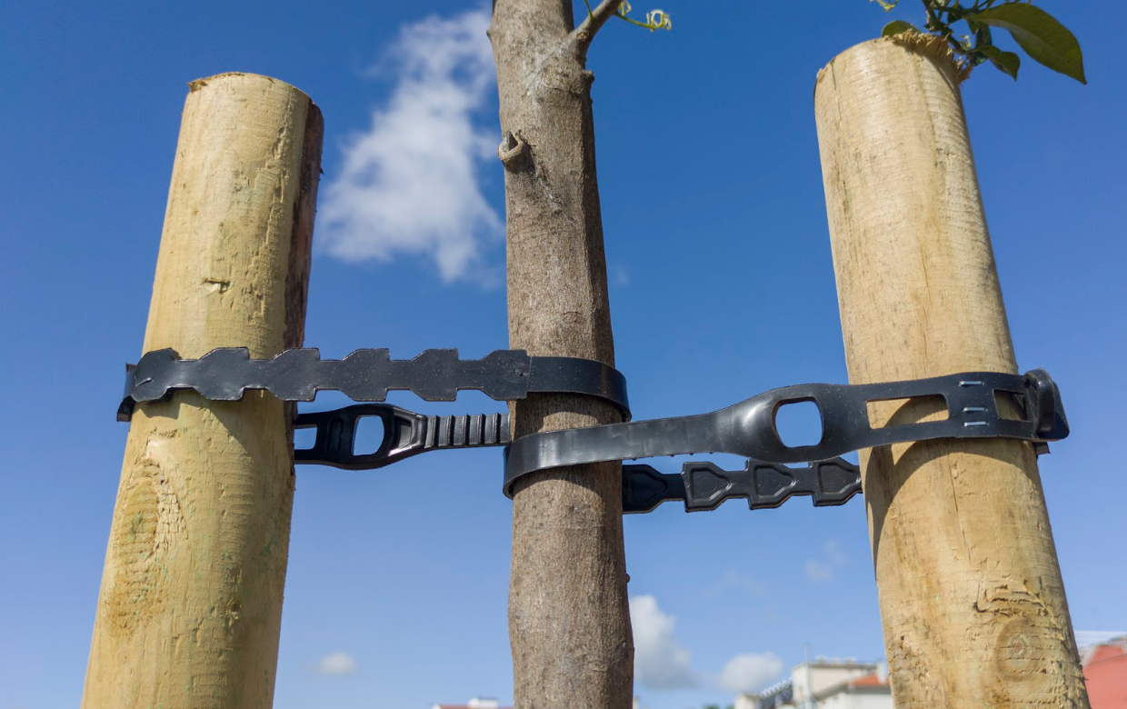 Excluding Staking From ETH ETF Proposals Could Benefit Broader Crypto ...