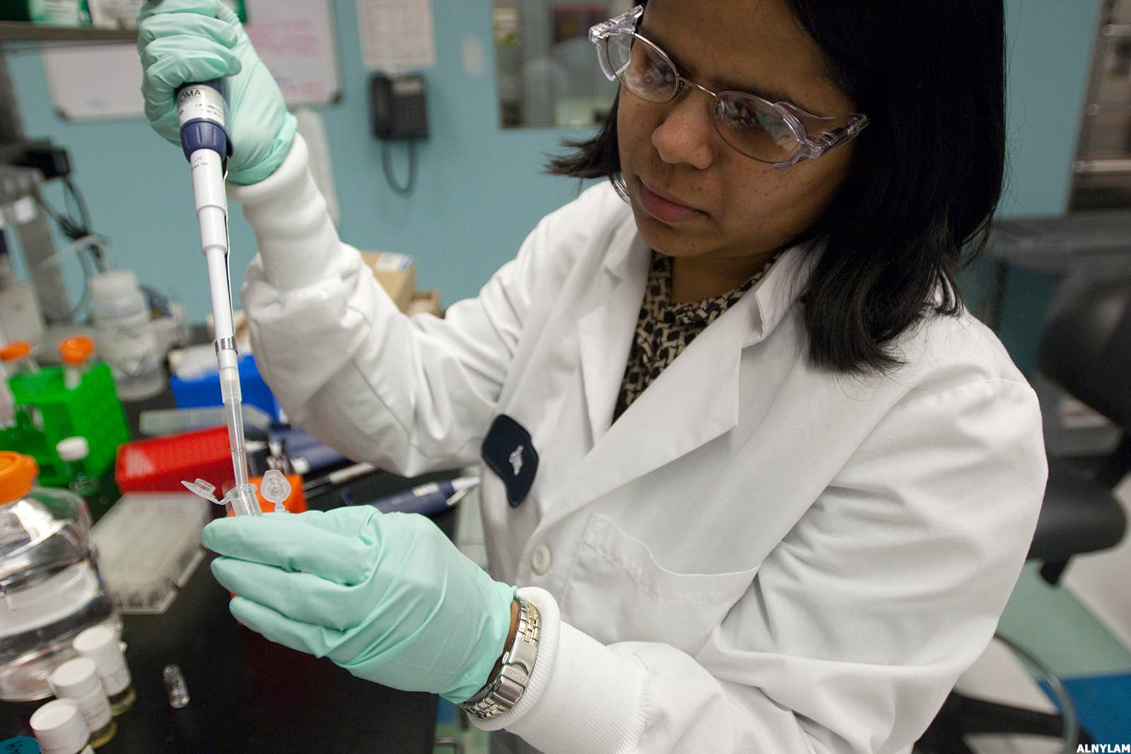 5 Top Stock Gainers for Monday Discovery, Apellis Pharma TheStreet