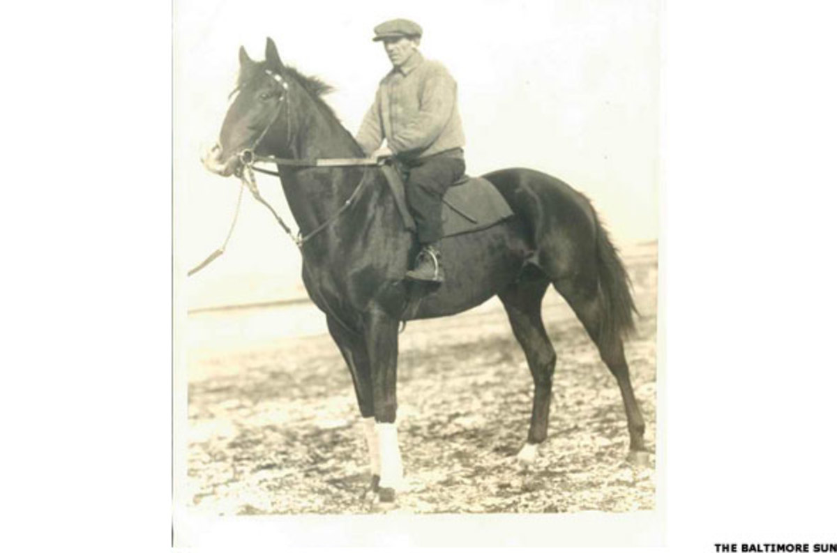 Triple Crown Winners The 11 Best Race Horses of All Time TheStreet