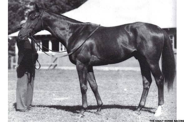 Triple Crown Winners: The 11 Best Race Horses of All Time - TheStreet