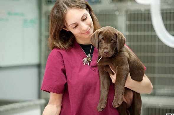 Mars To Buy VCA WOOF For 9 Billion In Bid To Dominate Pet Care 