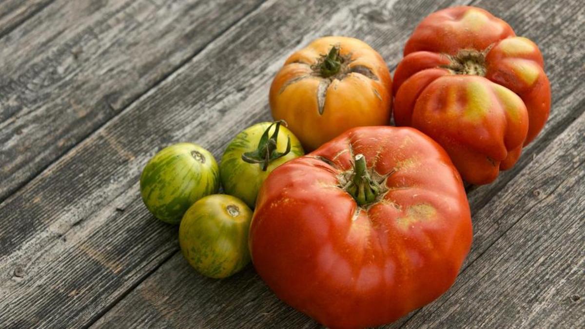 Jim Cramer on Making Tomato Sauce Stay Away From Beefsteak Tomatoes