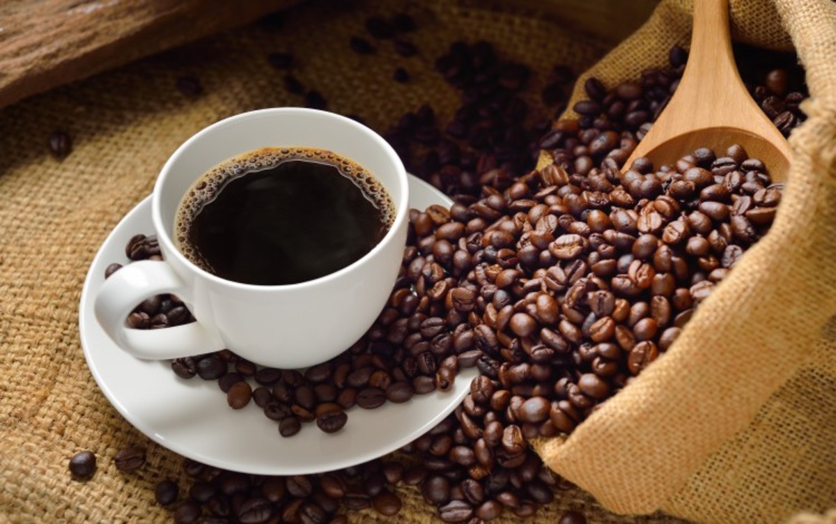 Coffee Prices Surge But Consumers Have Yet to Feel the Burn, Analysts Say
