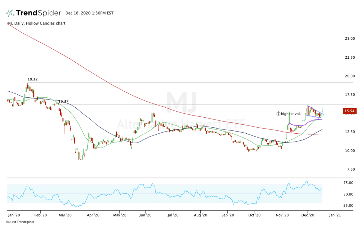 How to Trade Cannabis Stocks After AphriaTilray Merger TheStreet