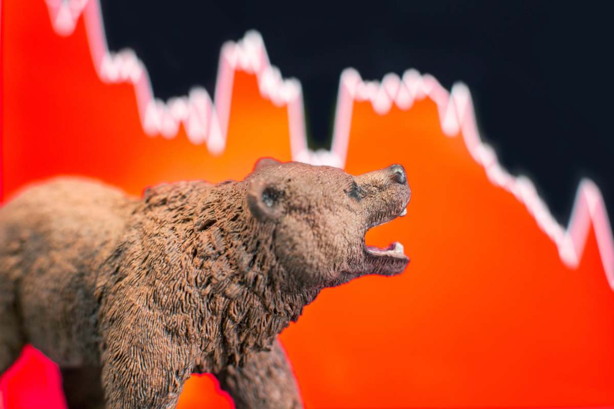 Figure 1: Wall Street bear.