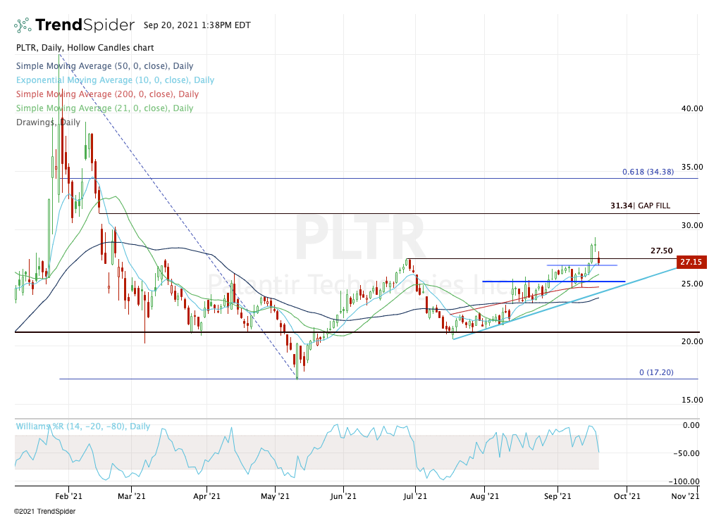 Palantir Stock Falls. To Buy the Dip, Here's the Support Level to Watch ...