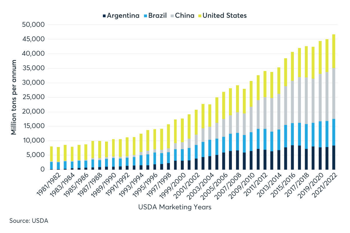 Chart 1: Global powerhouses in the soybean oil market