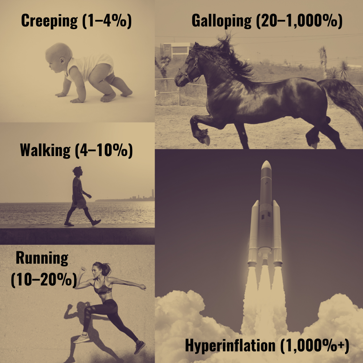 Inflation falls into one of five general categories depending on its rate. 