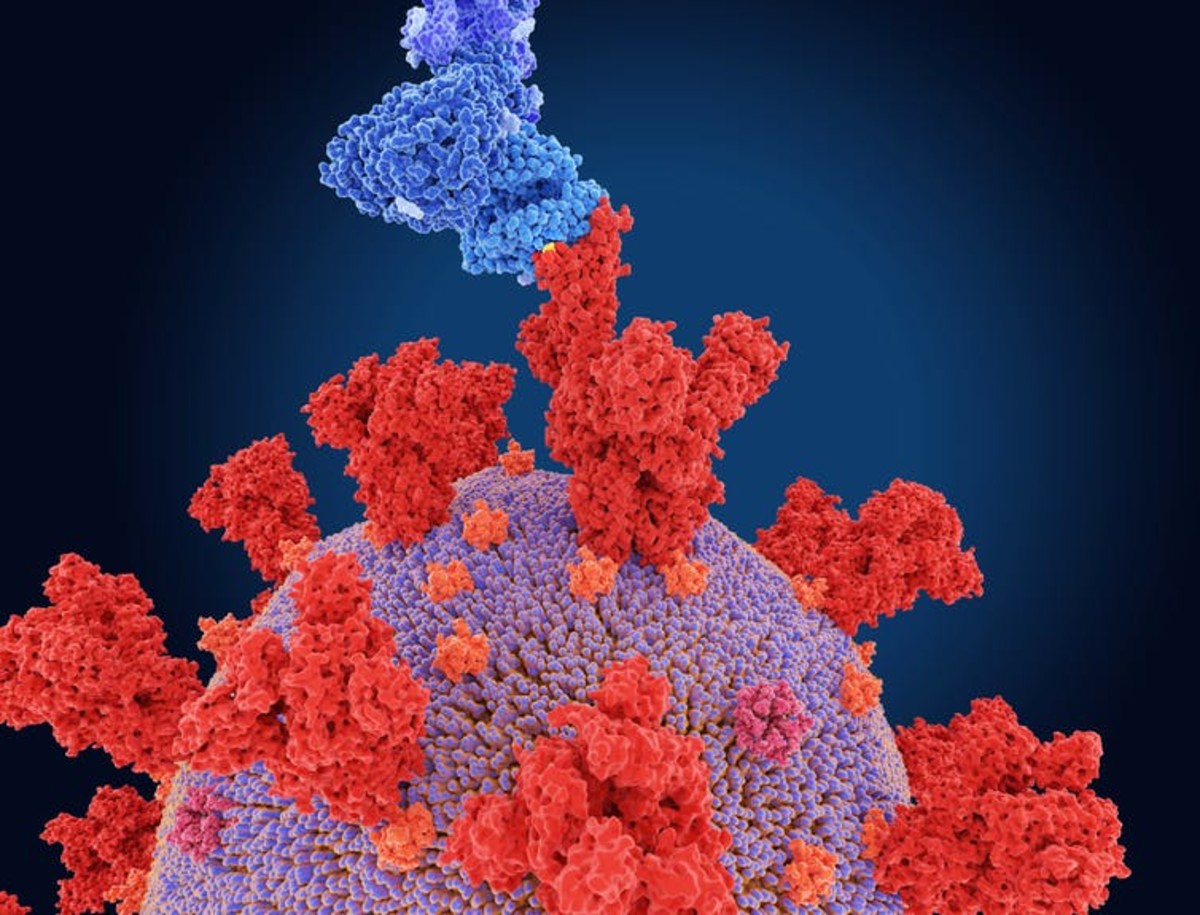 Will omicron the new coronavirus variant of concern be