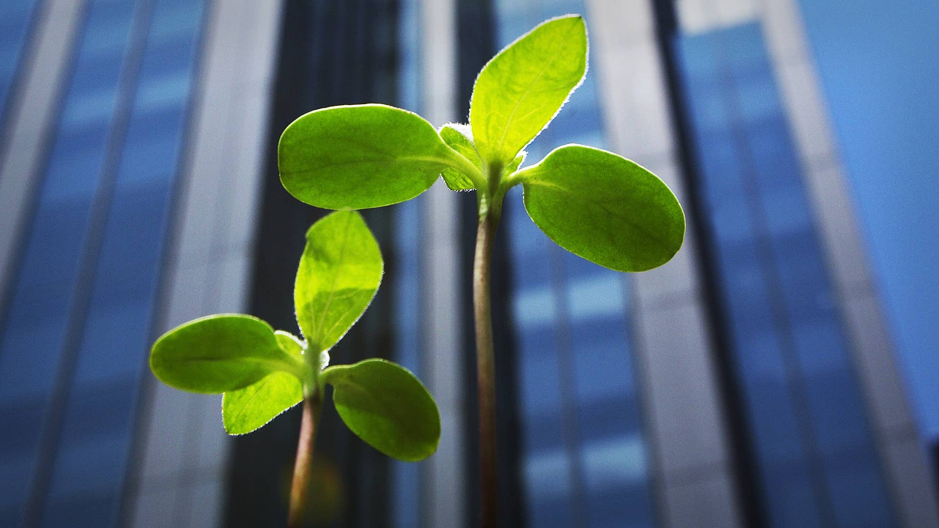 5 Sustainability Buzzwords Small Businesses Should Know In 2022 - Vimarsana News