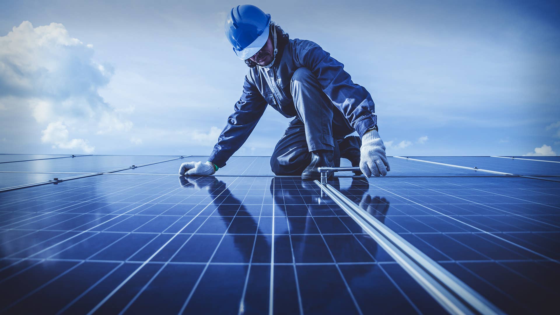 What Going Green and Sustainability Means for Companies and Shareholders - Vimarsana News