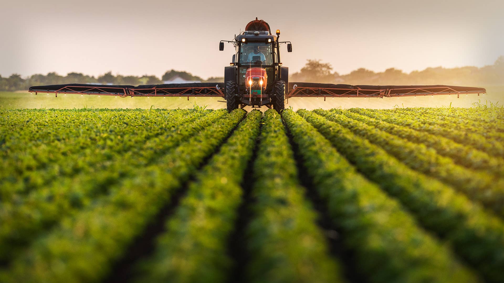 The Future of Farming, Agriculture and Land Use - 3 Major Trends - Vimarsana News