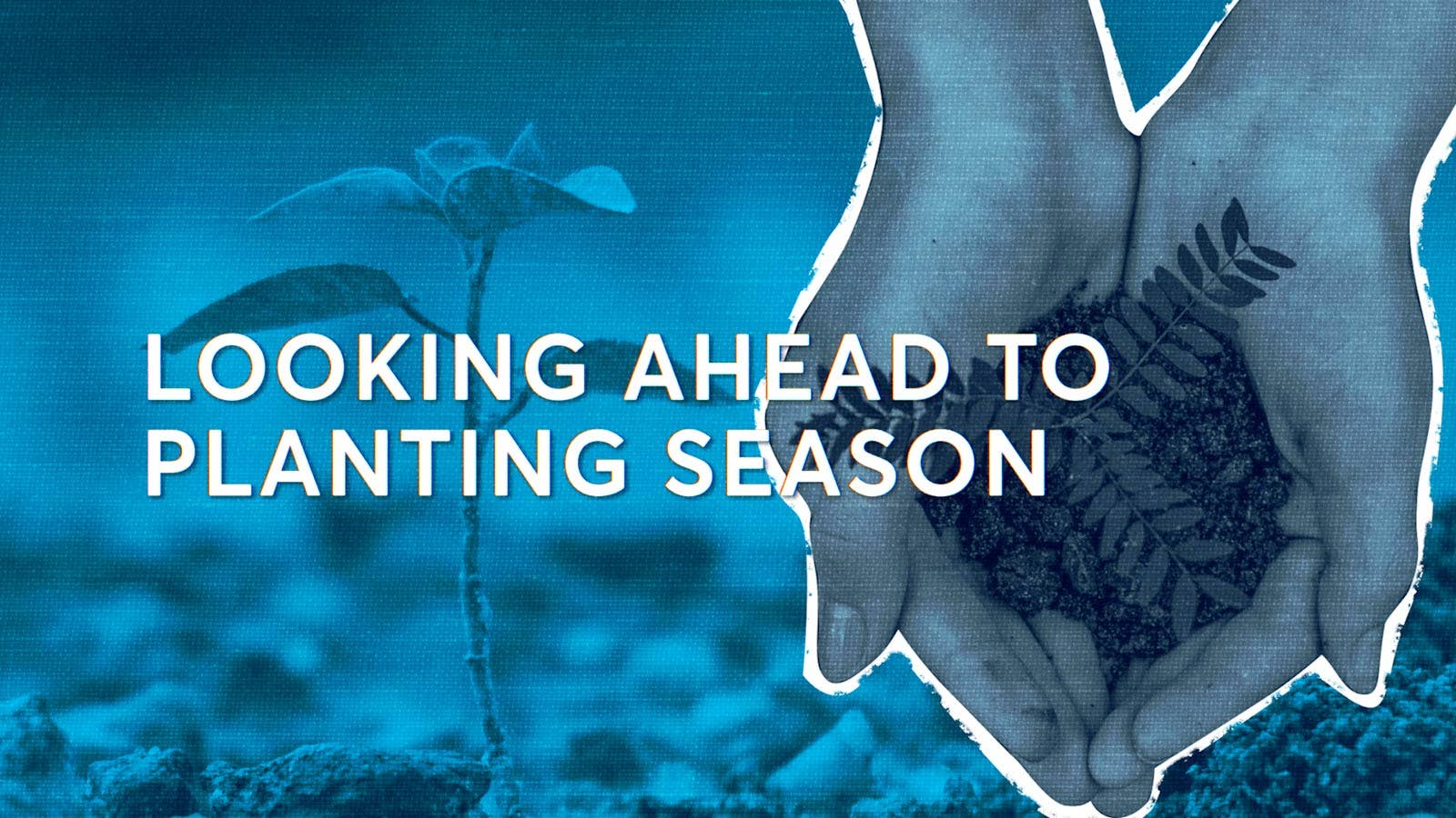 U.S. Farmers Face Tough Spring Planting Decisions - Vimarsana News