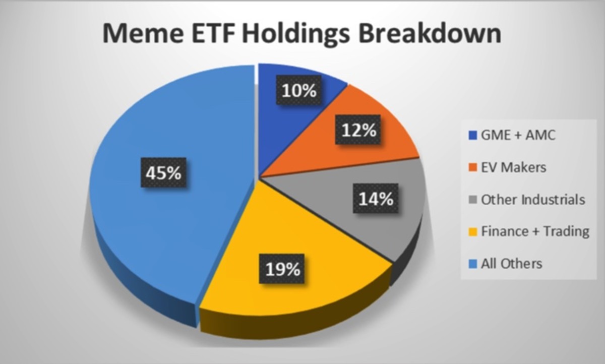 Figure 2: Meme ETF holdings breakdown.