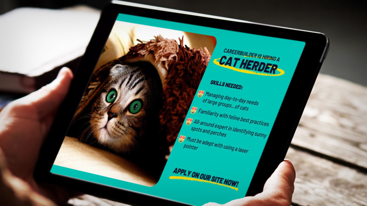 CareerBuilder Cat Herder Lead JS