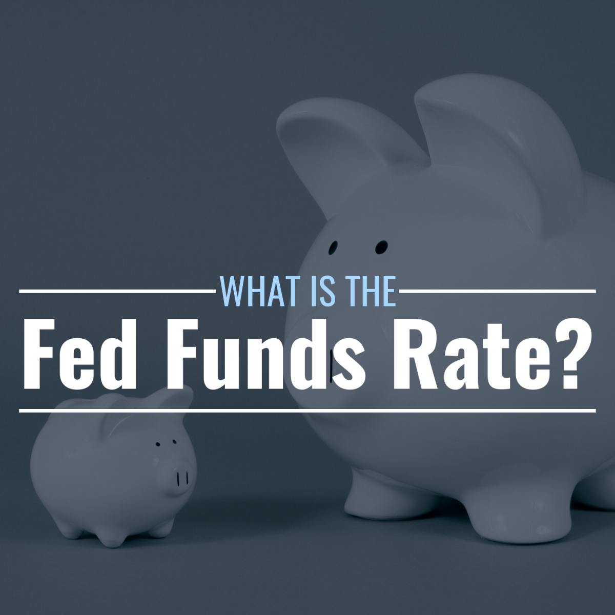 Image of a large piggy bank looking at a small piggy bank with text overlay: "What Is the Fed Funds Rate?"