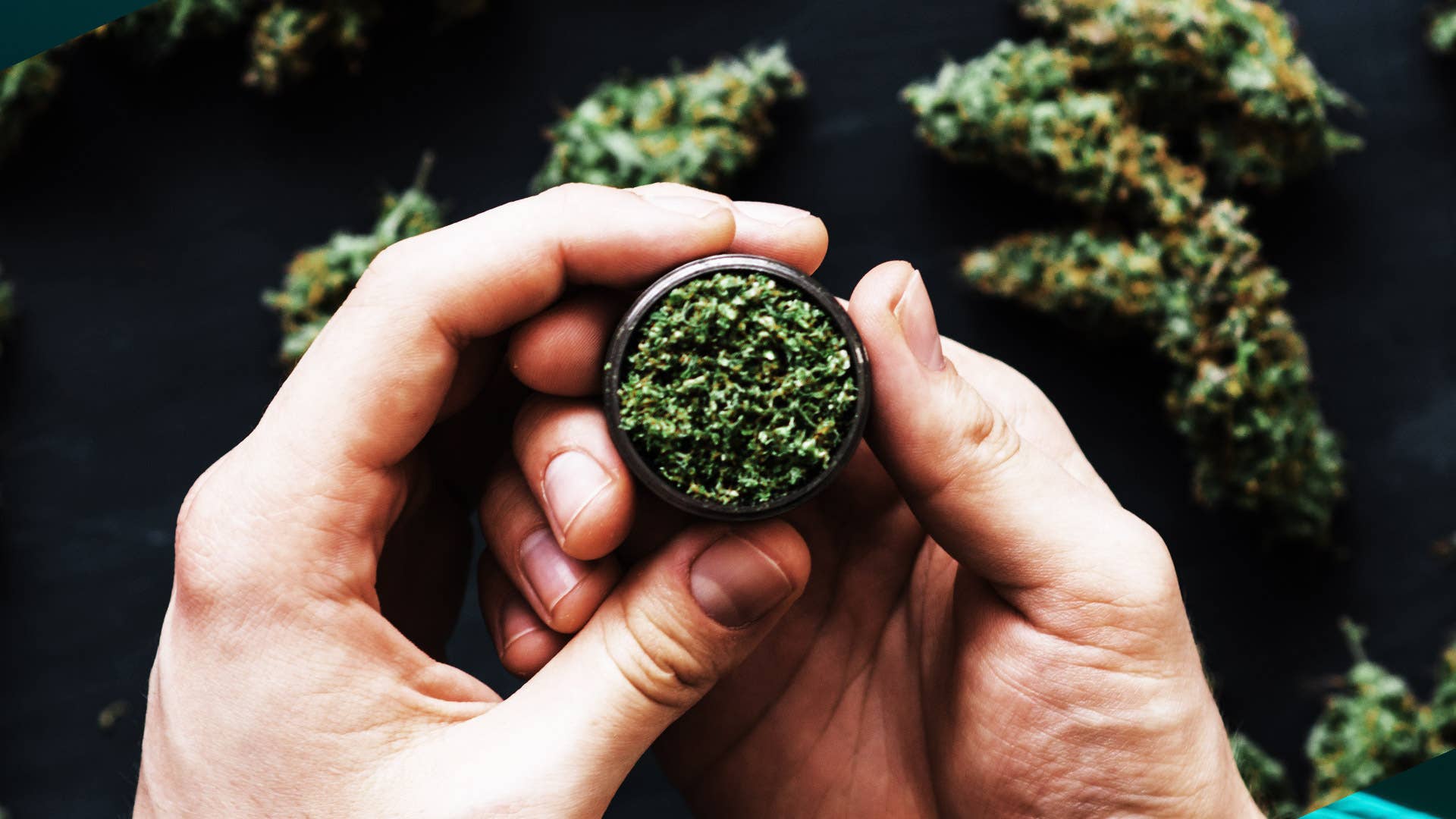 Cannabis News Week: Sales Figures, New State Protections - Vimarsana News