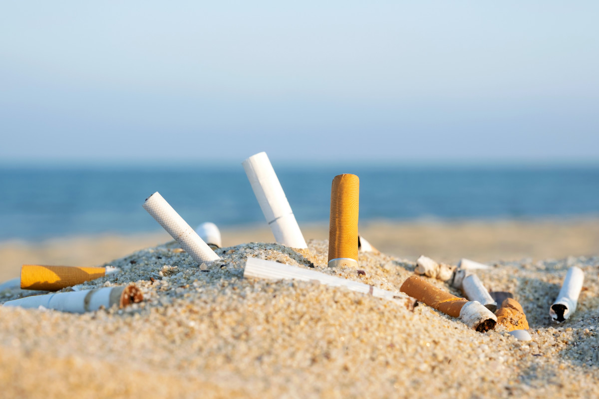 15cigarette butts beach sh