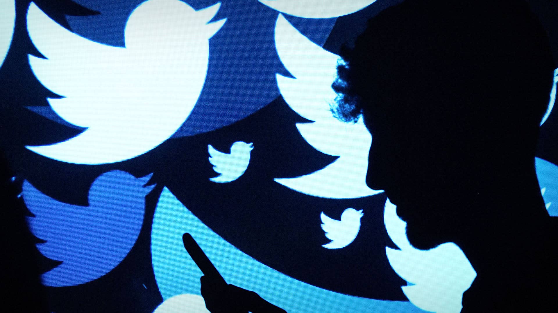 Veteran Twitter Executives Axed Ahead of Musk Takeover - Vimarsana News