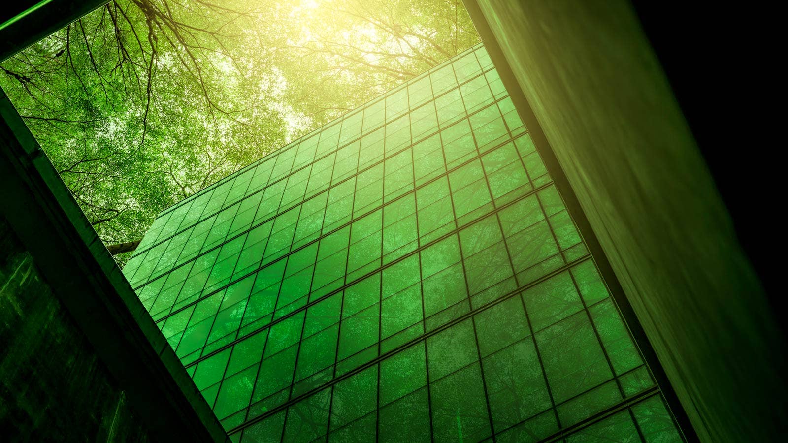 What Sustainability Trends Are Traders Watching? - Vimarsana News