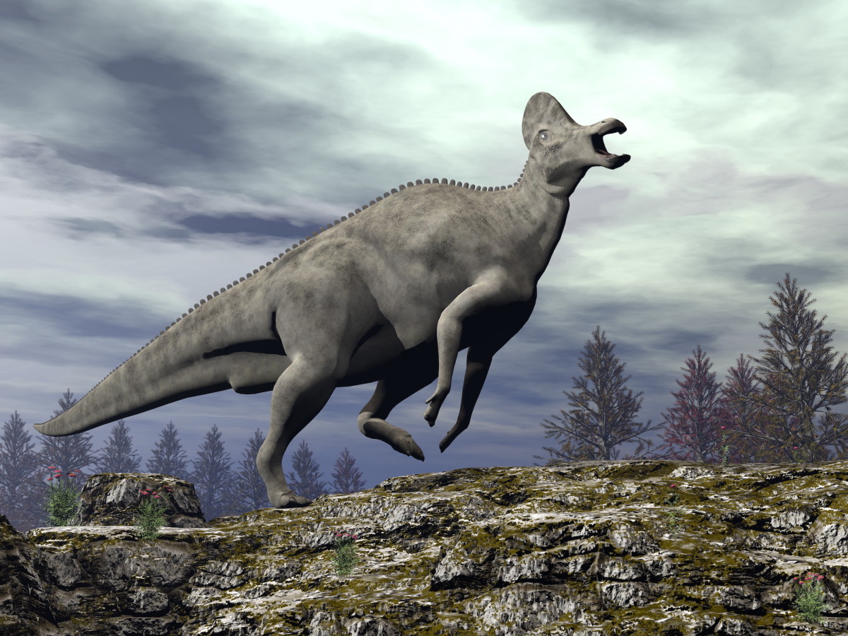 Corythosaurus sh
