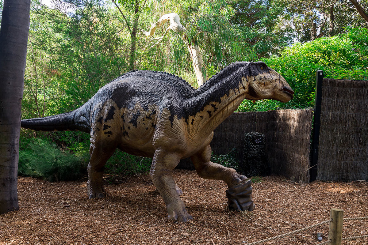 Edmontosaurus  anastas_styles : Shutterstock