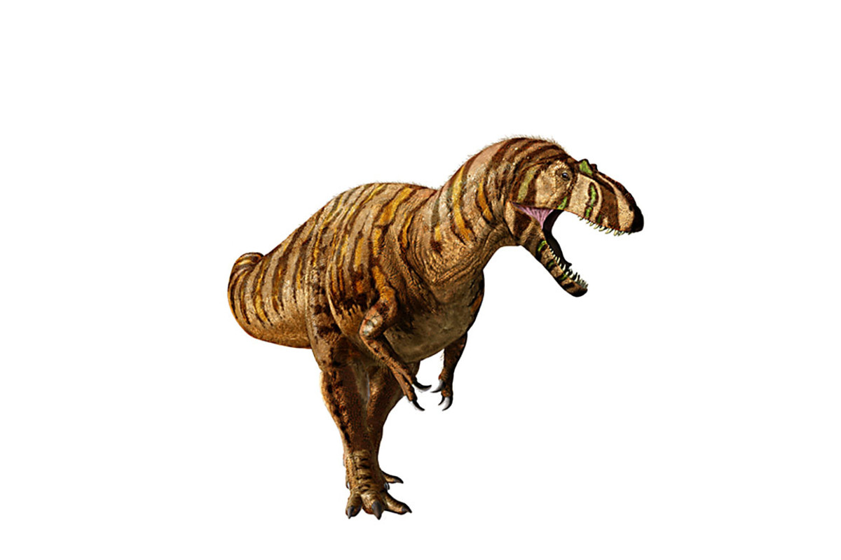 metriacanthosaurus Universal