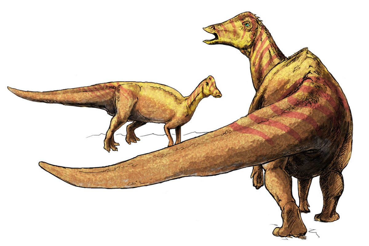 Pteranodon, Dinosaur Wiki