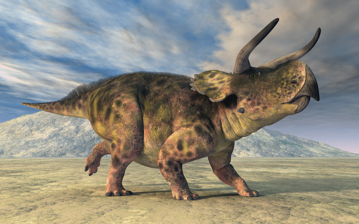 Nasutoceratops sh
