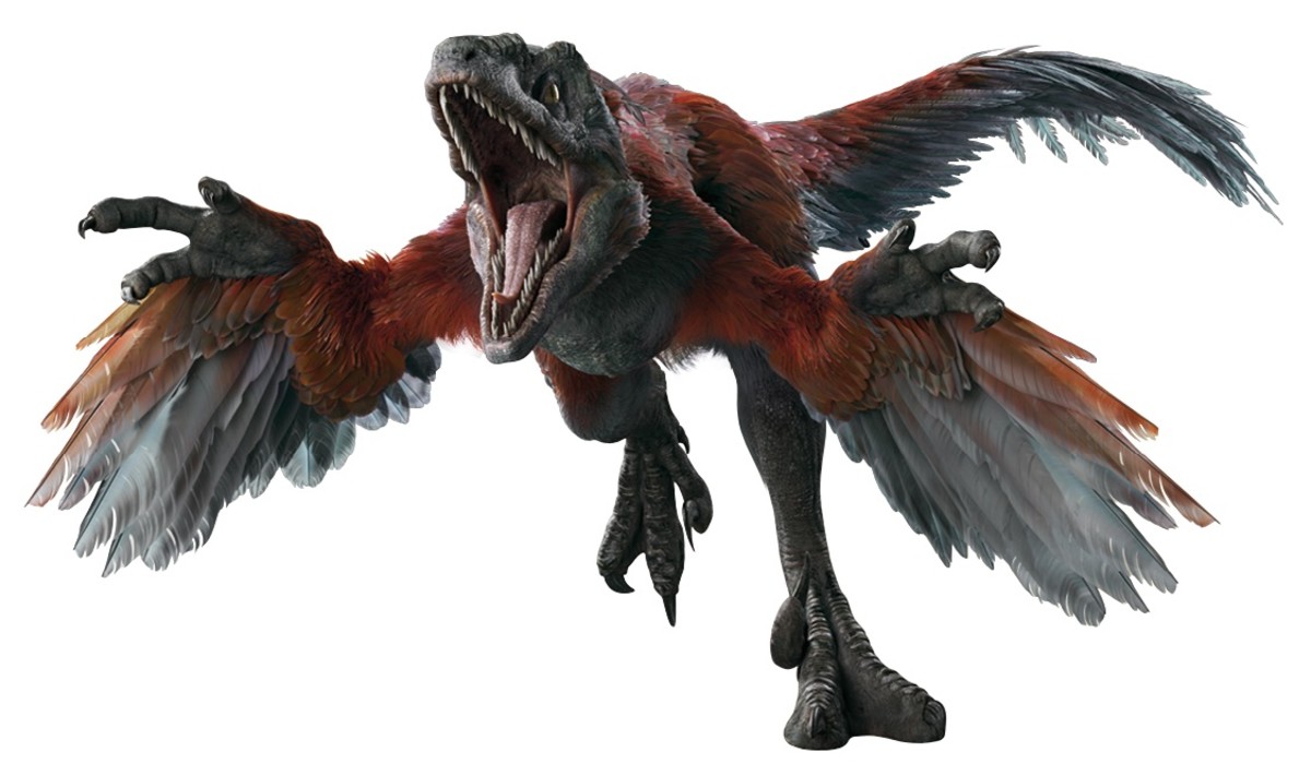 Pyroraptor Theferretman21 jurassic wiki