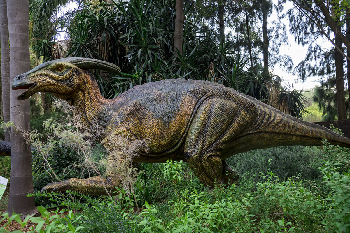 Parasaurolophus anastas_styles : Shutterstock