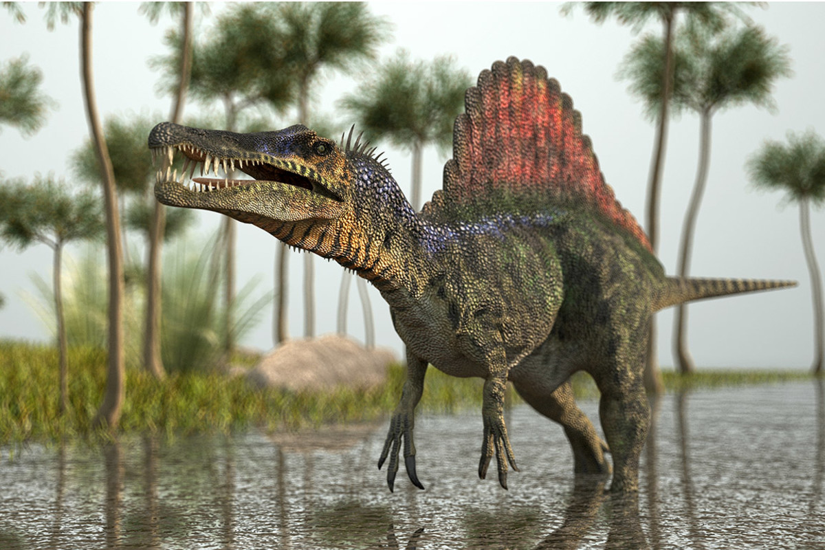 Spinosaurus sh