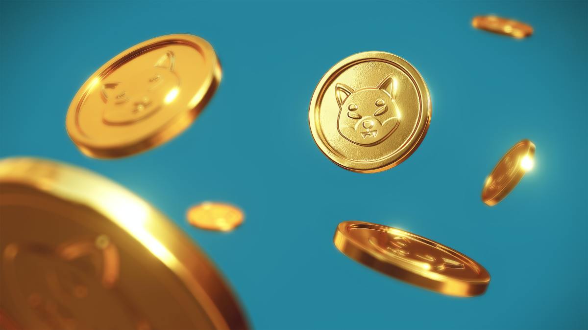 Figure 1: Shiba Inu Coin: Can Meme Power Lift This Crypto Coin?