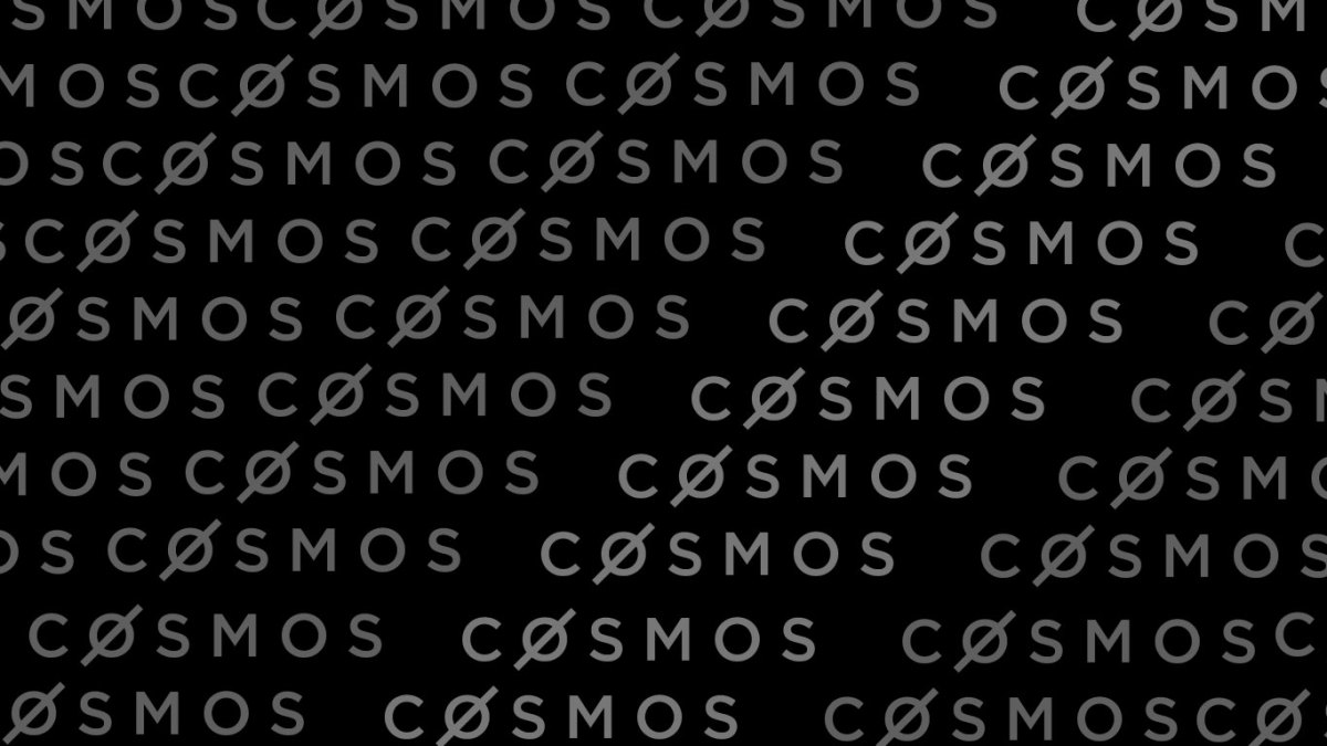 Tendermint Hires Crypto Hedge Fund Vet To Lead Its Flagship NFT Creation  Engine - TheStreet Crypto: Bitcoin and cryptocurrency news, advice,  analysis and more