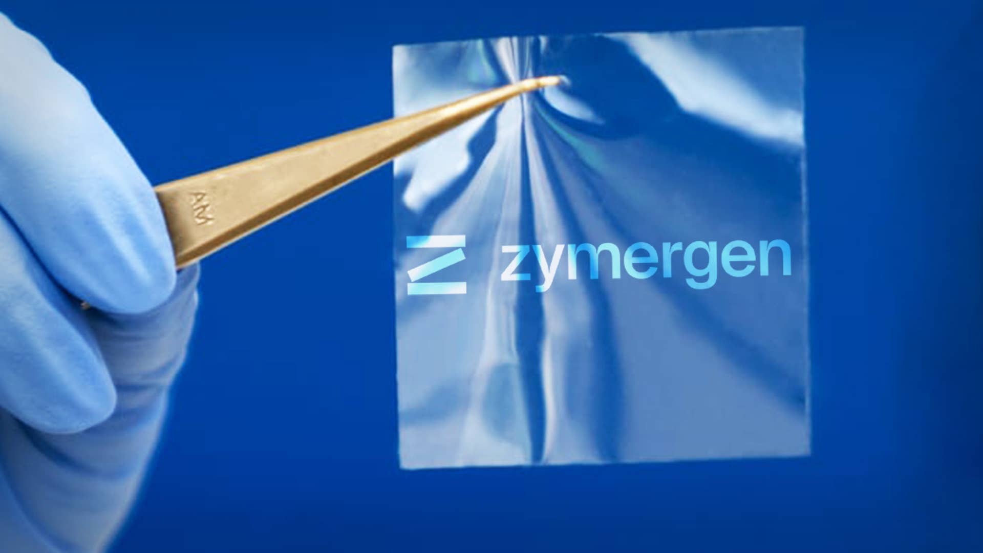Zymergen Jumps in Debut After Upsized Initial Public Offering TheStreet